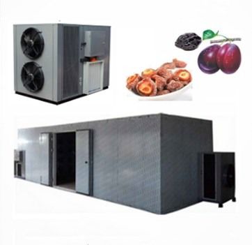 calidad  High Efficiency Commercial Food Dehydrator Use Apricot Fruit Heat Pump Drying Machine fábrica